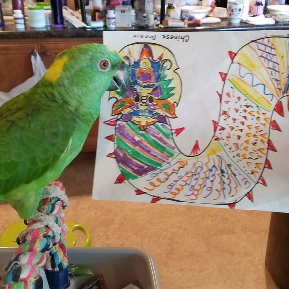 Meet your Posher, Elizabeth